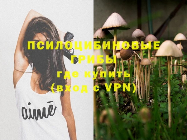 a pvp Абинск